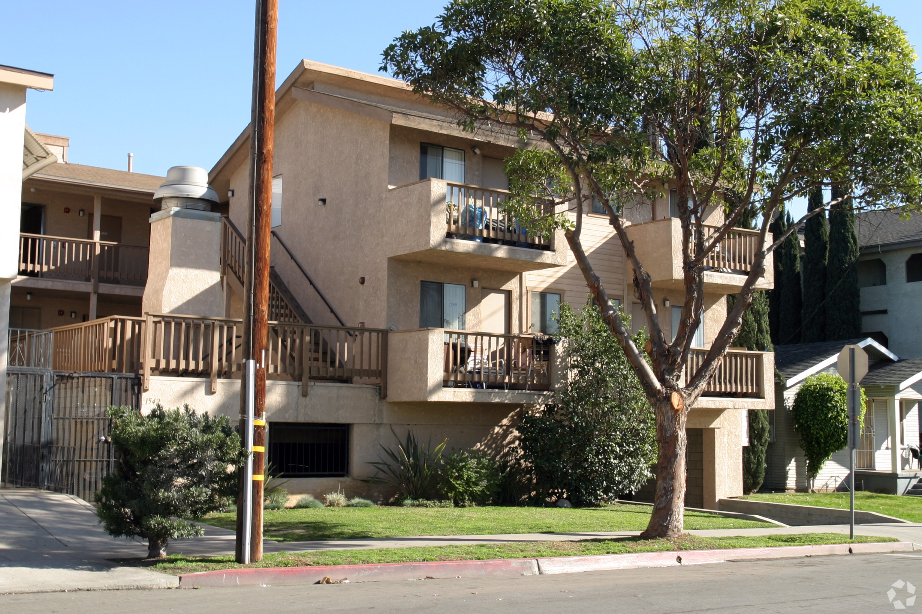 A tree in front of a building with a balcony.